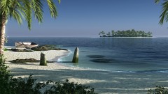 Islands palm trees Beaches