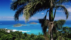 Islands palm trees brass