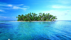 Islands palm trees Sea