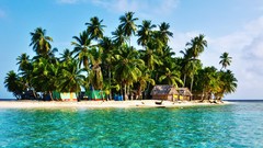 Islands palm trees tropical caribbean