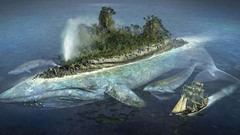 Islands Whales World