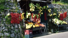 Italy fruits multicolor market