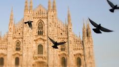 Italy Pigeons cathedrals