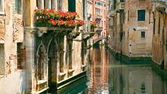 Italy venice canal cityscapes
