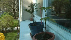 Ive bought Books about