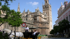 Iviva sevilla