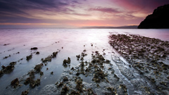 Jagged Earth nature water