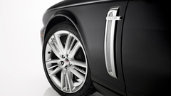 Jaguar high Resolution