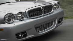 Jaguar high Resolution