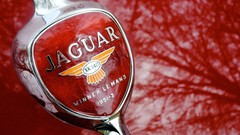 Jaguar logos