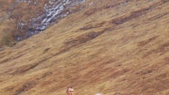 James bond artwork skyfall