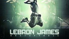 James dunk Celebrity lebron
