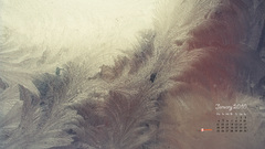 January ice Flowers Calendar