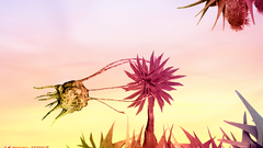 January odd World nocal