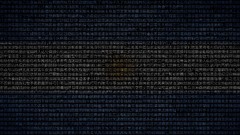 Japan argentina kanji artwork