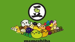 Japan bean Mameshiba