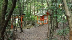 Japan buildings forests
