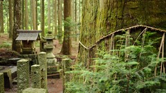 Japan buildings forests