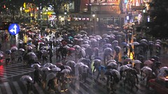 Japan cities cityscapes Shibuya