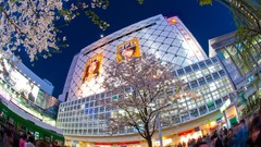 Japan cities cityscapes Shibuya