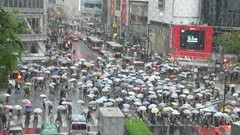 Japan cities cityscapes Shibuya