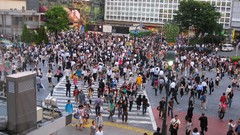 Japan cities cityscapes Shibuya