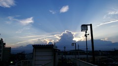 Japan cities skyscapes