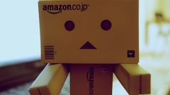 Japan danboard FILSRU