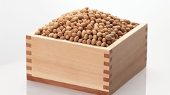 Japan food Japanese food food art