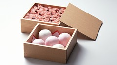 Japan food Japanese food food art