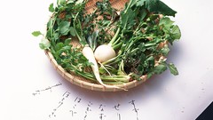 Japan food Japanese food food art