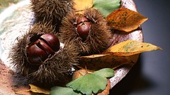 Japan food Japanese food food art