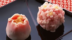 Japan food Japanese food food art