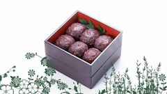 Japan food Japanese food food art