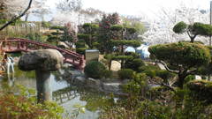 Japan Garden