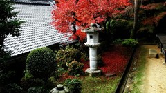 Japan Garden