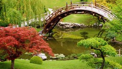 Japan Garden architecture