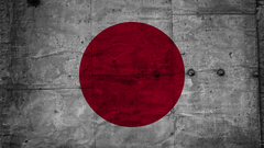 Japan grunge Flags