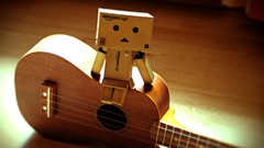 Japan guitars danboard FILSRU