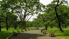 Japan hey guys! need