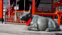 Japan houses architects