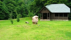 Japan houses architects