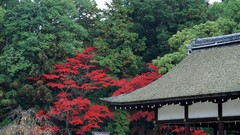 Japan houses architects