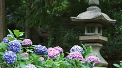 Japan houses architects