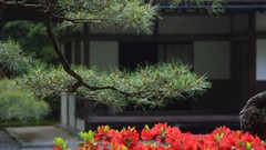 Japan houses architects