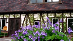 Japan houses architects