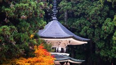 Japan houses architects