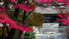 Japan houses architects