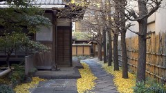 Japan houses architects