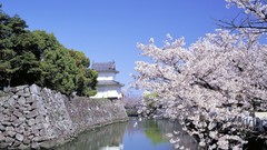 Japan houses architects